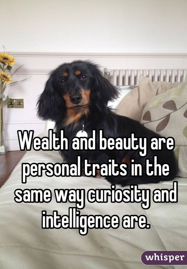 Wealth and beauty are personal traits in the same way curiosity and intelligence are.
