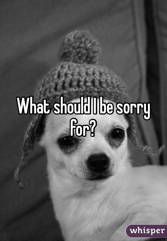 What should I be sorry for?