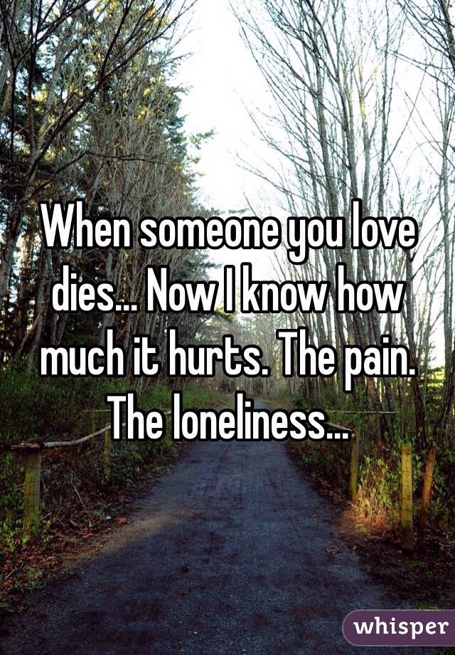 When someone you love dies... Now I know how much it hurts. The pain. The loneliness...  