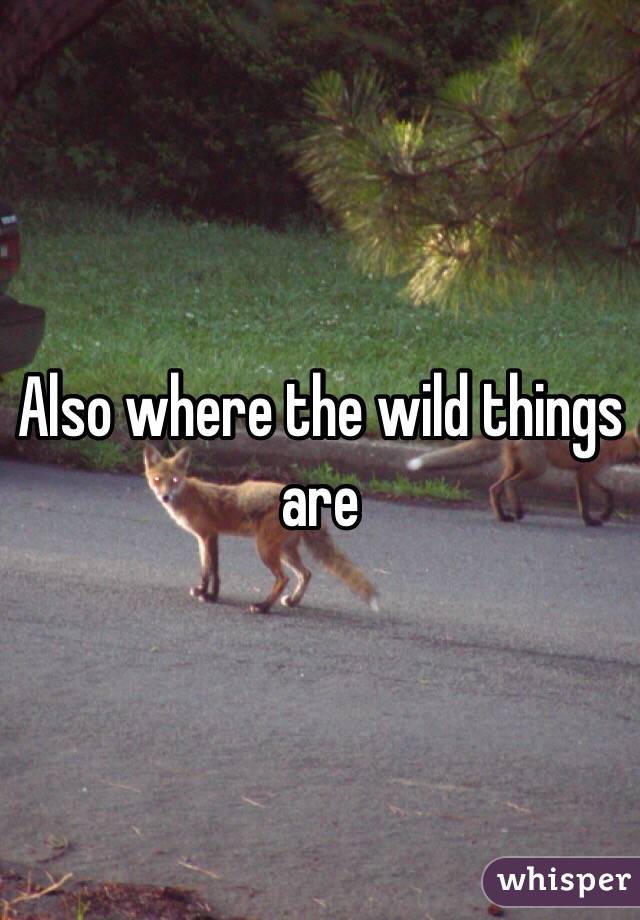 Also where the wild things are 