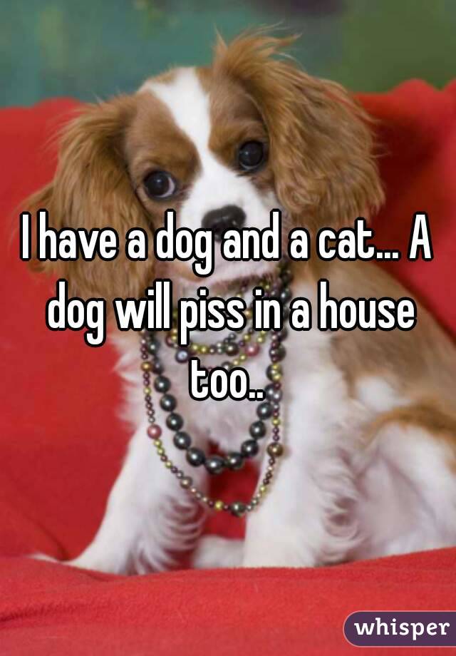 I have a dog and a cat... A dog will piss in a house too.. 