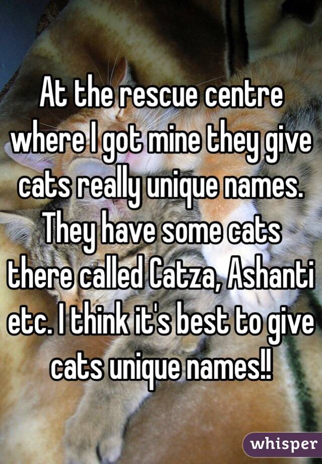 At the rescue centre where I got mine they give cats really unique names. They have some cats there called Catza, Ashanti etc. I think it's best to give cats unique names!!

