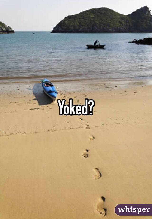 Yoked?