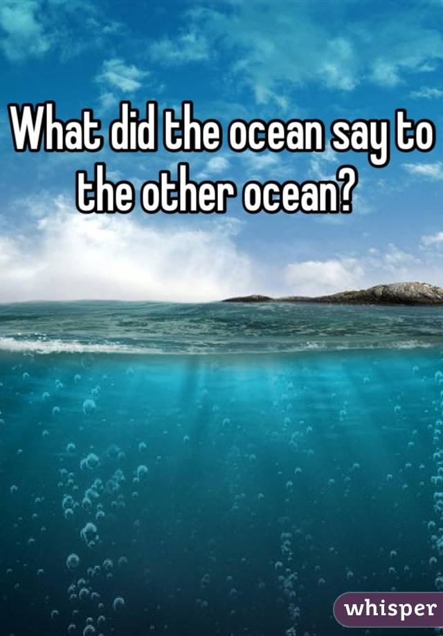 What did the ocean say to the other ocean? 