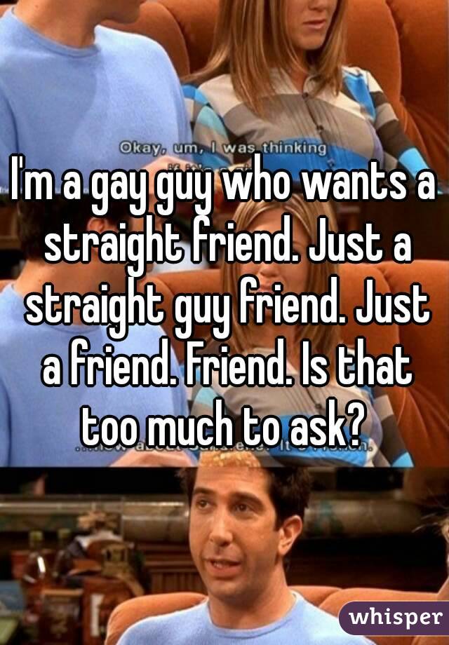 I'm a gay guy who wants a straight friend. Just a straight guy friend. Just a friend. Friend. Is that too much to ask? 