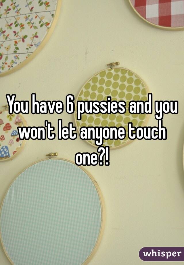 You have 6 pussies and you won't let anyone touch one?! 