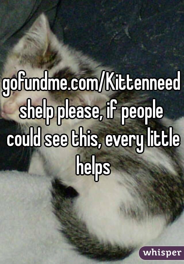 gofundme.com/Kittenneedshelp please, if people could see this, every little helps