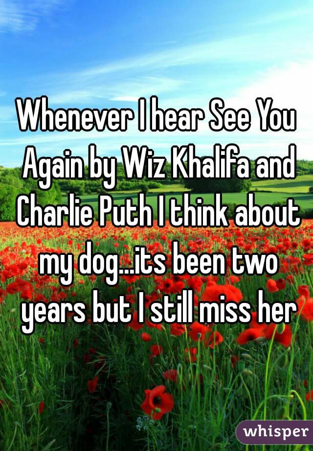 Whenever I hear See You Again by Wiz Khalifa and Charlie Puth I think about my dog...its been two years but I still miss her