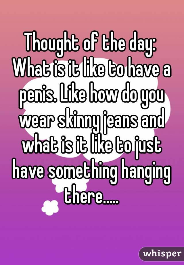 Thought of the day:
 What is it like to have a penis. Like how do you wear skinny jeans and what is it like to just have something hanging there.....