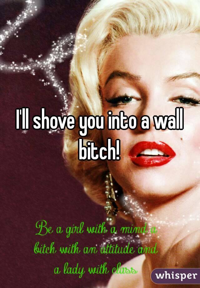 I'll shove you into a wall bitch! 