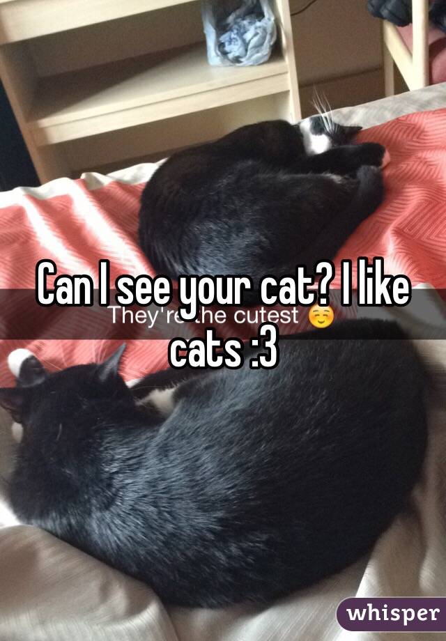 Can I see your cat? I like cats :3