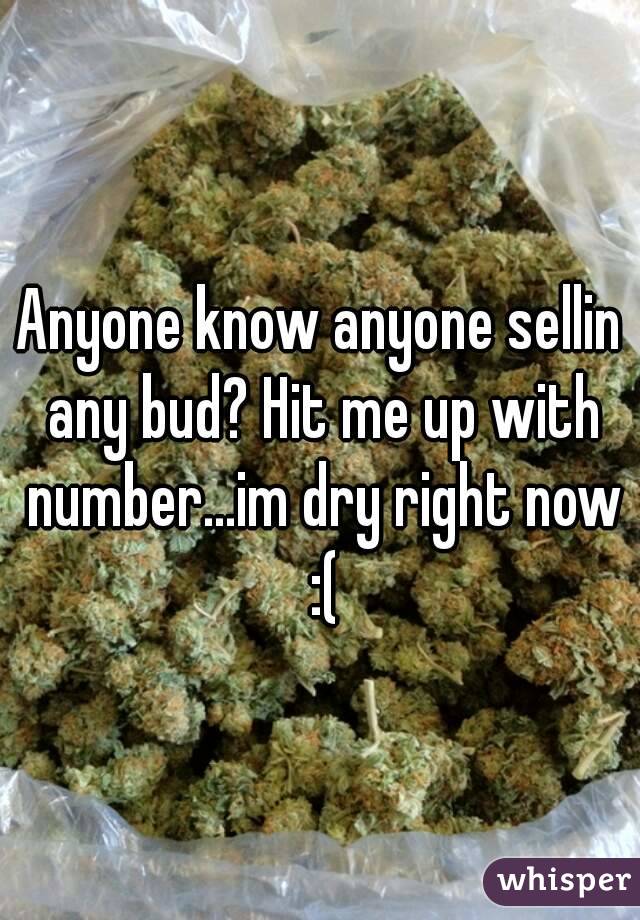 Anyone know anyone sellin any bud? Hit me up with number...im dry right now :(