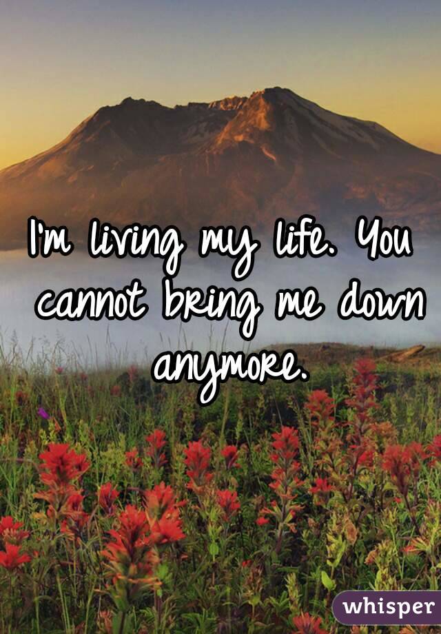I'm living my life. You cannot bring me down anymore.