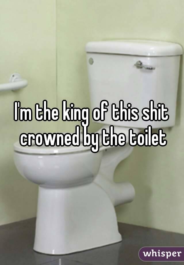 I'm the king of this shit crowned by the toilet