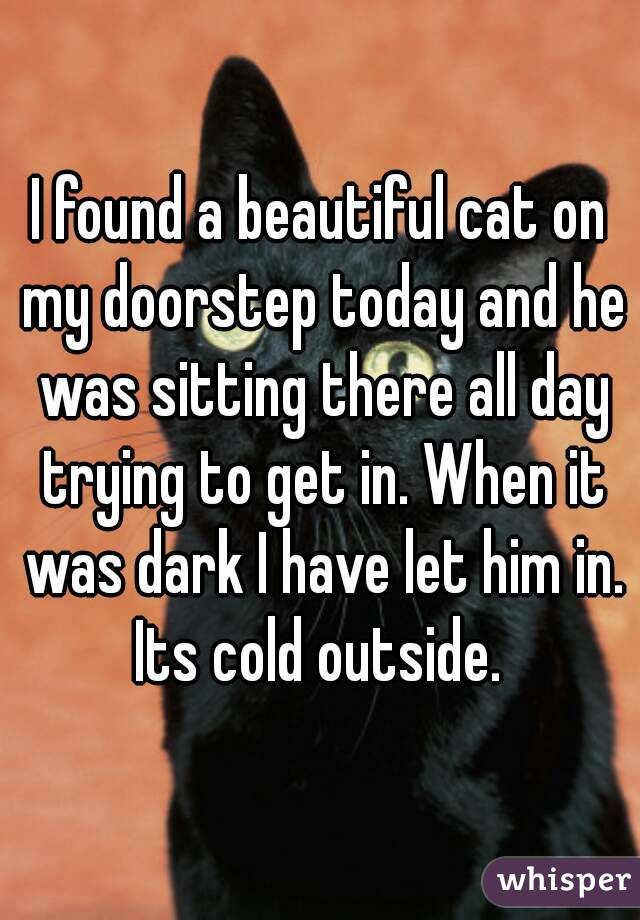 I found a beautiful cat on my doorstep today and he was sitting there all day trying to get in. When it was dark I have let him in. Its cold outside. 