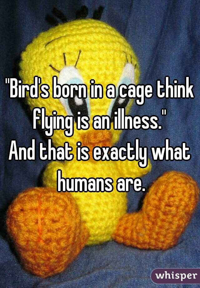 "Bird's born in a cage think flying is an illness." 
And that is exactly what humans are.