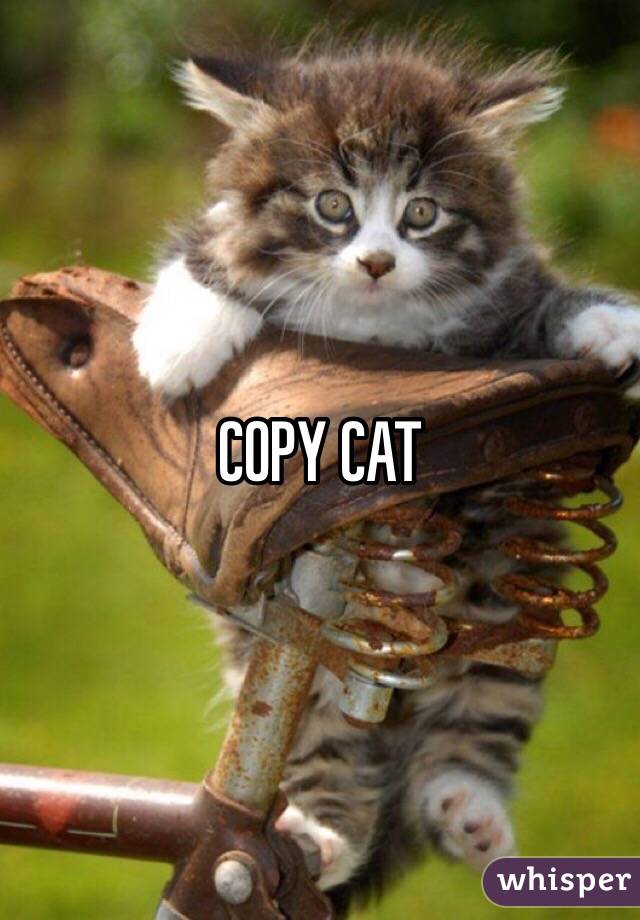 COPY CAT