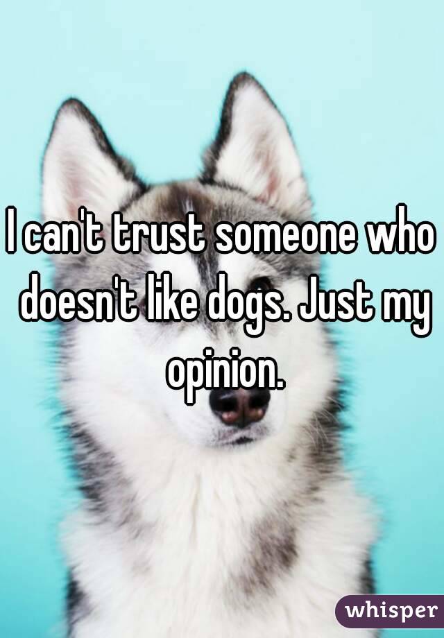 I can't trust someone who doesn't like dogs. Just my opinion.