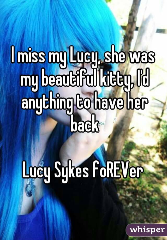 I miss my Lucy, she was my beautiful kitty, I'd anything to have her back

Lucy Sykes foREVer