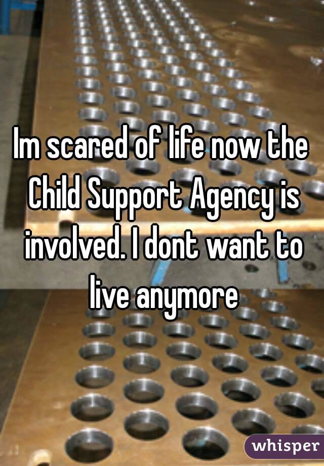 Im scared of life now the Child Support Agency is involved. I dont want to live anymore