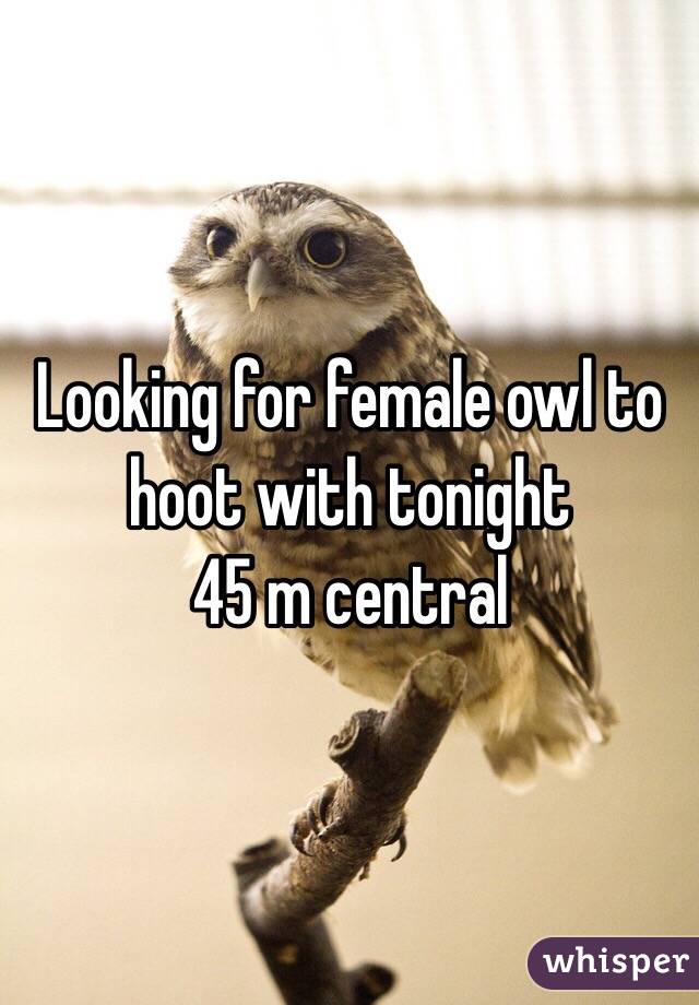Looking for female owl to hoot with tonight
45 m central