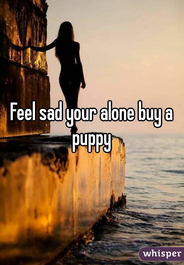 Feel sad your alone buy a puppy 