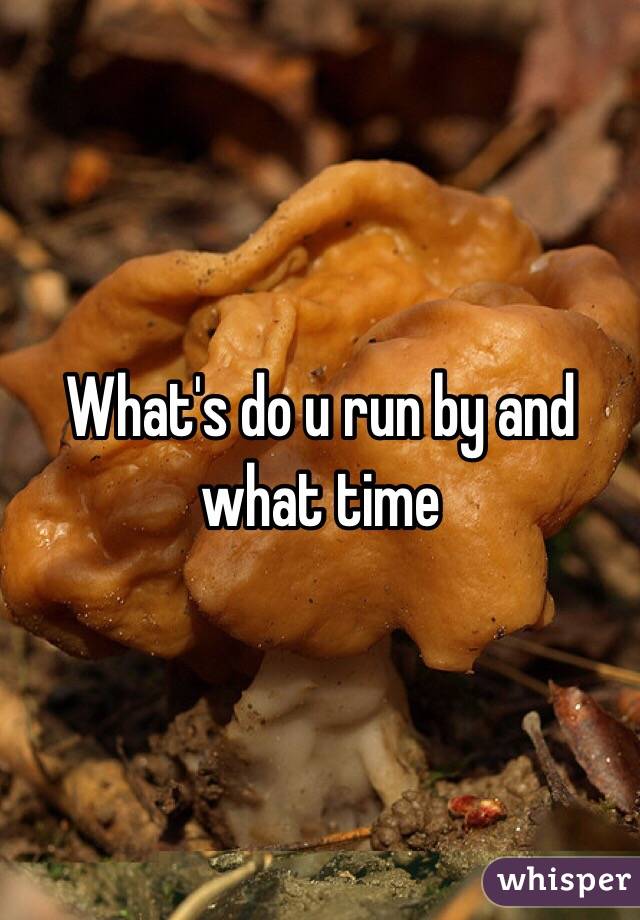 What's do u run by and what time 