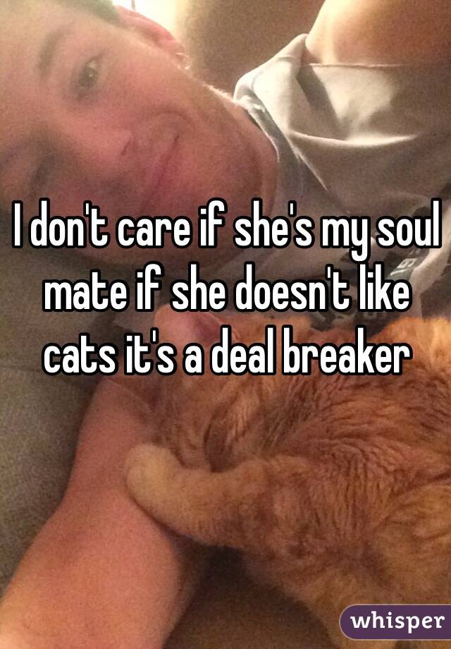 I don't care if she's my soul mate if she doesn't like cats it's a deal breaker 