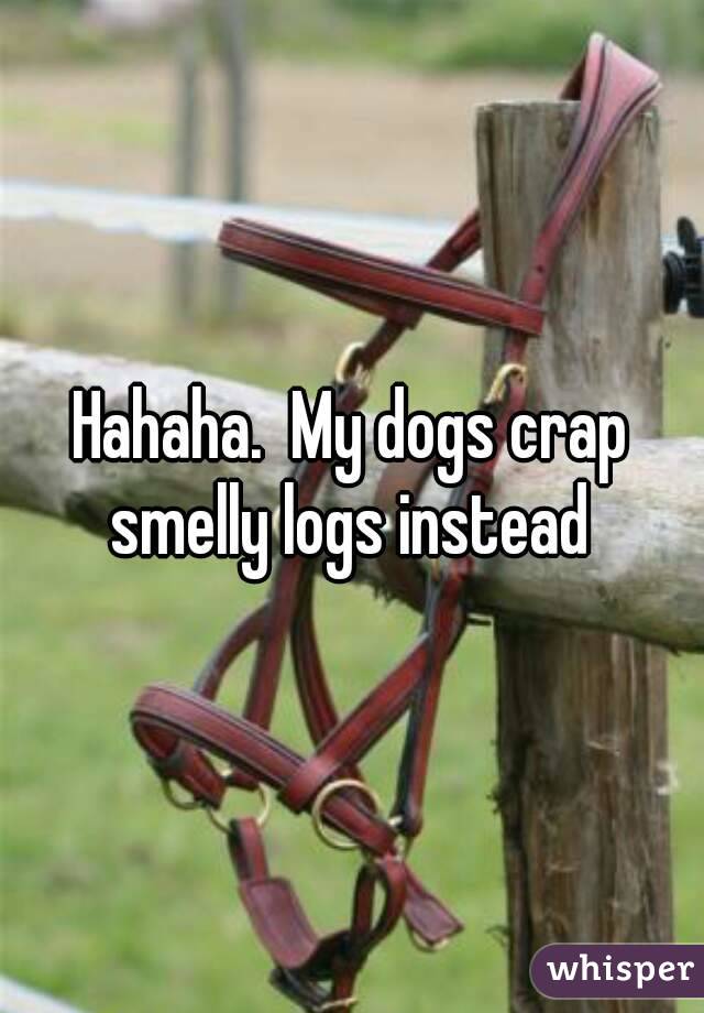 Hahaha.  My dogs crap smelly logs instead 
