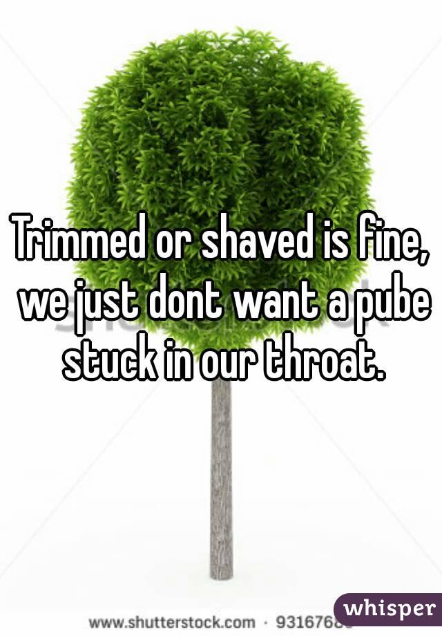 Trimmed or shaved is fine, we just dont want a pube stuck in our throat.