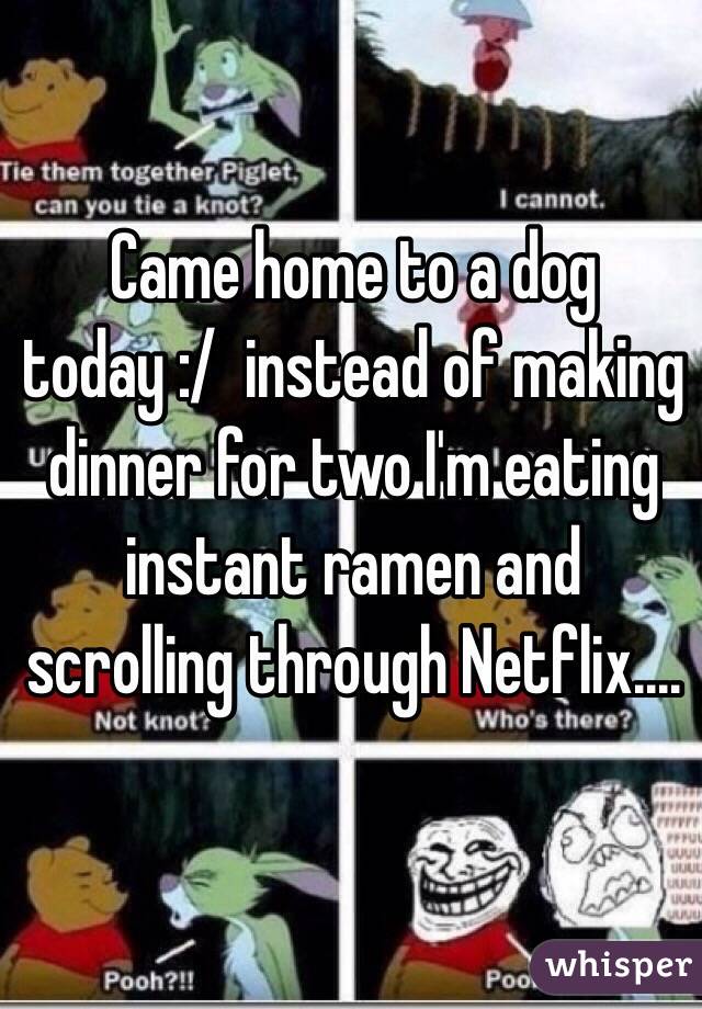 Came home to a dog today :/  instead of making dinner for two I'm eating instant ramen and scrolling through Netflix....