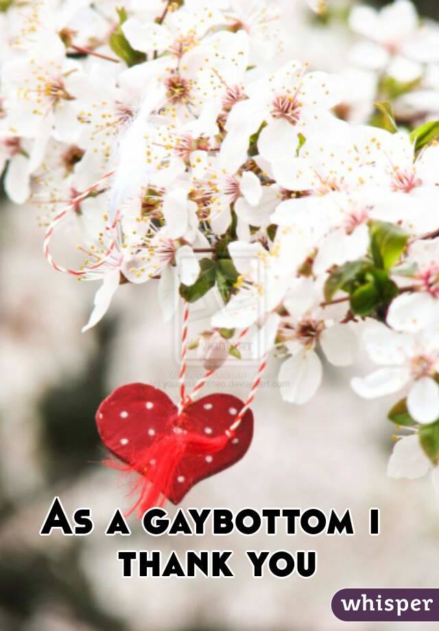 As a gaybottom i thank you