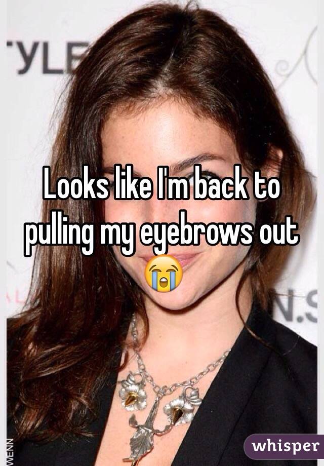 Looks like I'm back to pulling my eyebrows out 😭