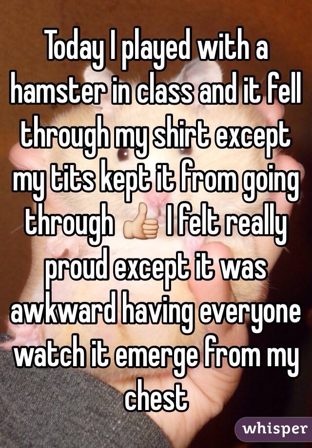 Today I played with a hamster in class and it fell through my shirt except my tits kept it from going through 👍 I felt really proud except it was awkward having everyone watch it emerge from my chest 