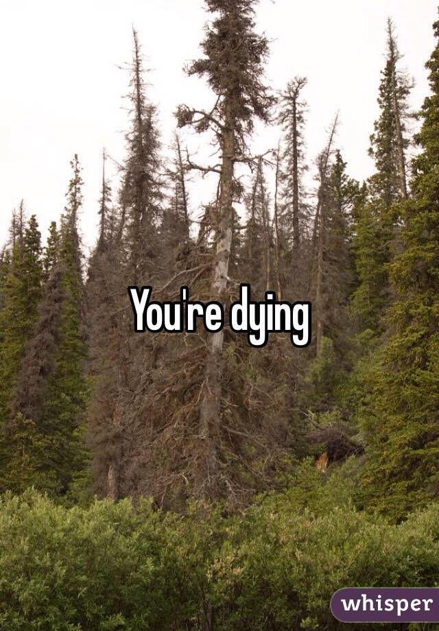 You're dying 