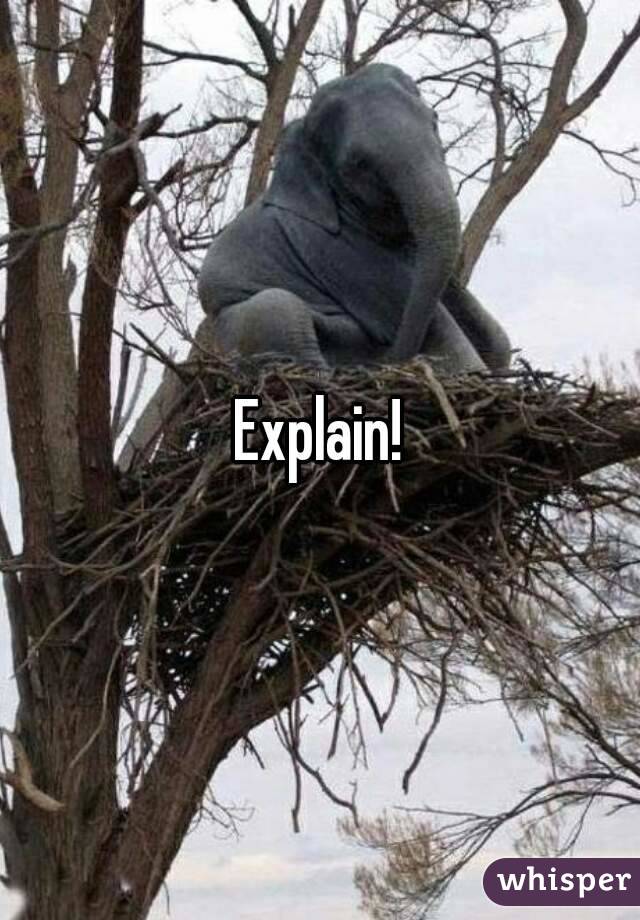 Explain!