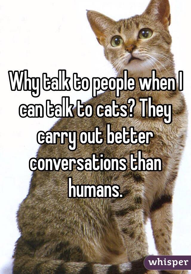 Why talk to people when I can talk to cats? They carry out better conversations than humans. 