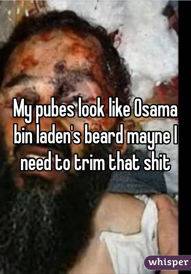 My pubes look like Osama bin laden's beard mayne I need to trim that shit 