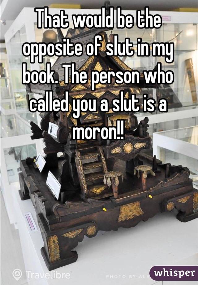 That would be the opposite of slut in my book. The person who called you a slut is a moron!!