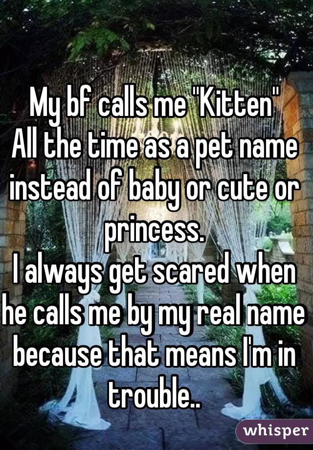 My bf calls me "Kitten" 
All the time as a pet name instead of baby or cute or princess. 
I always get scared when he calls me by my real name because that means I'm in trouble.. 