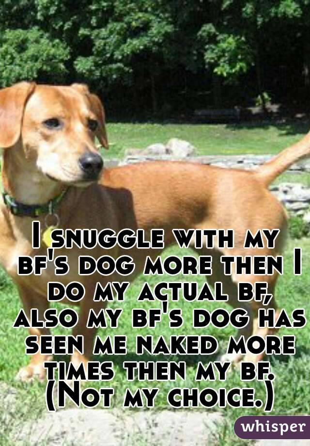 I snuggle with my bf's dog more then I do my actual bf, also my bf's dog has seen me naked more times then my bf. (Not my choice.)