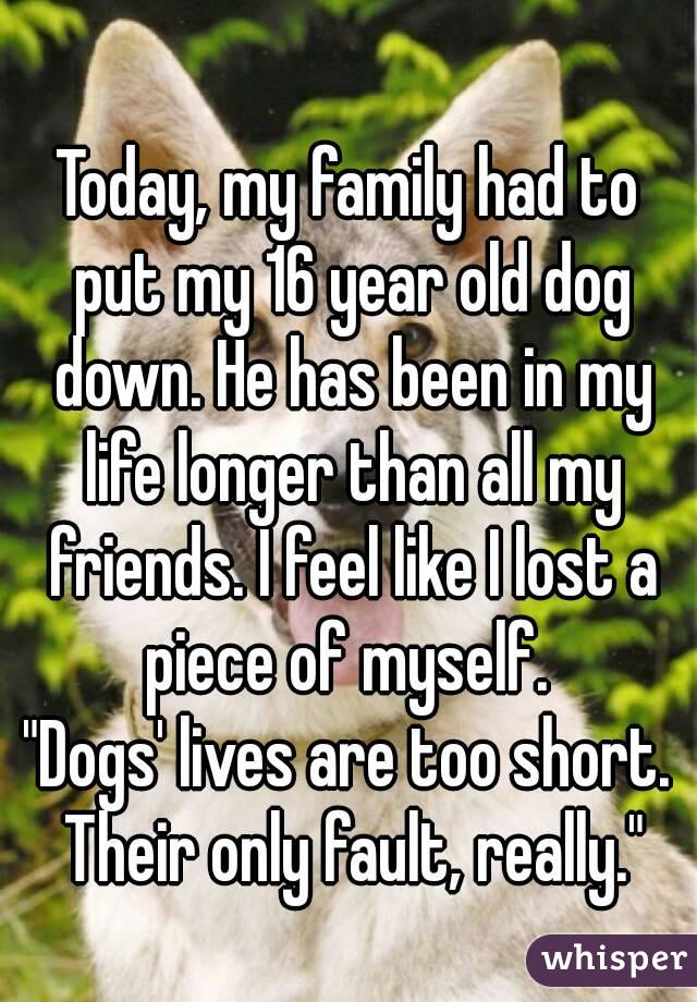 
Today, my family had to put my 16 year old dog down. He has been in my life longer than all my friends. I feel like I lost a piece of myself. 
"Dogs' lives are too short. Their only fault, really."