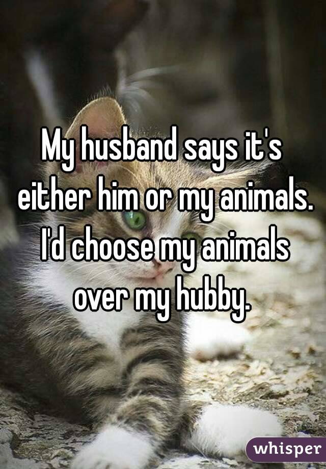 My husband says it's either him or my animals. I'd choose my animals over my hubby. 