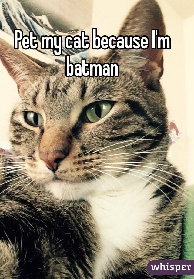 Pet my cat because I'm batman