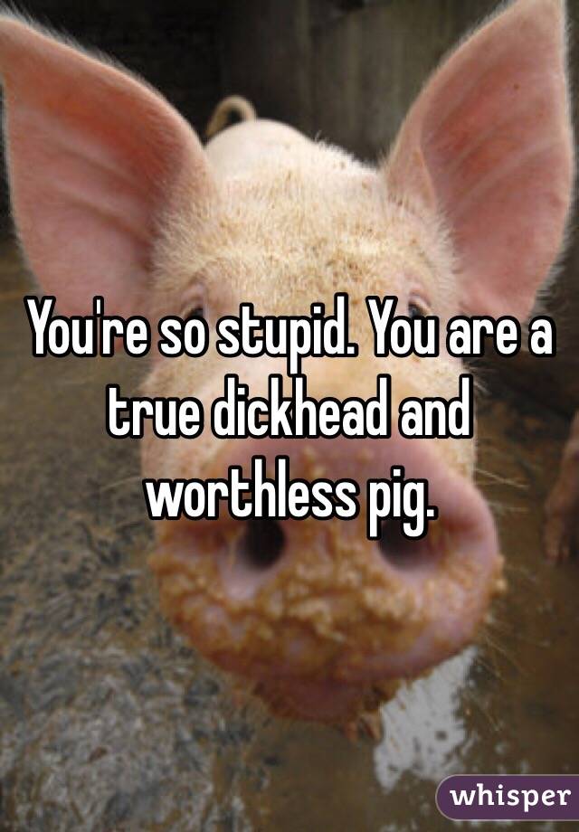 You're so stupid. You are a true dickhead and worthless pig. 