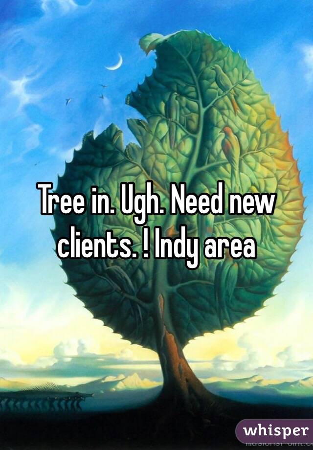 Tree in. Ugh. Need new clients. ! Indy area