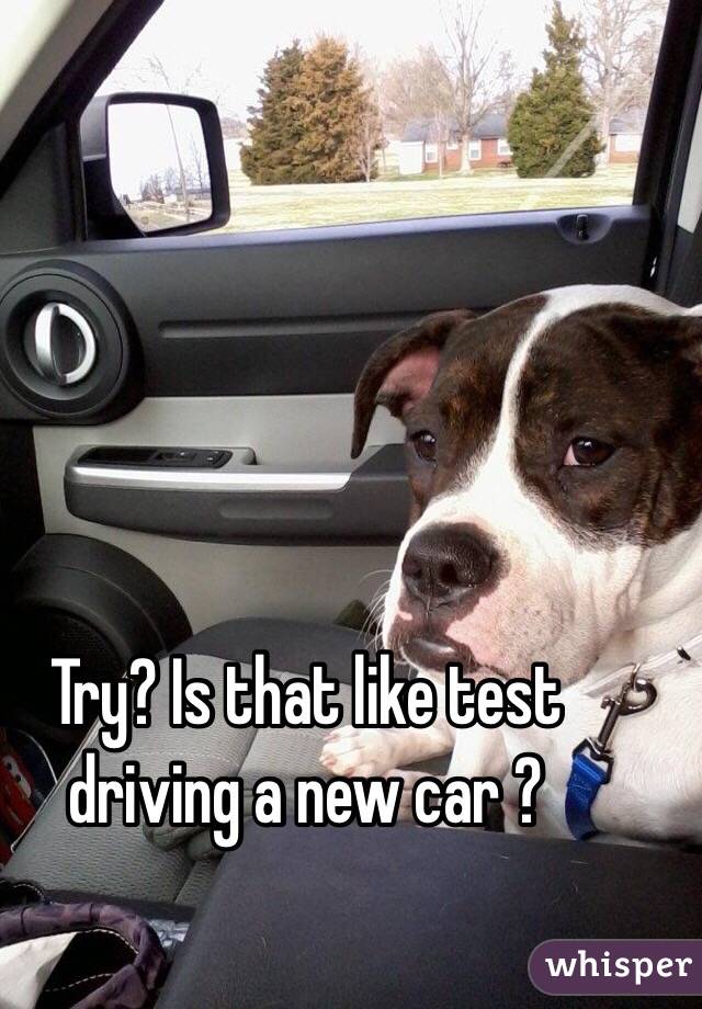 Try? Is that like test driving a new car ?