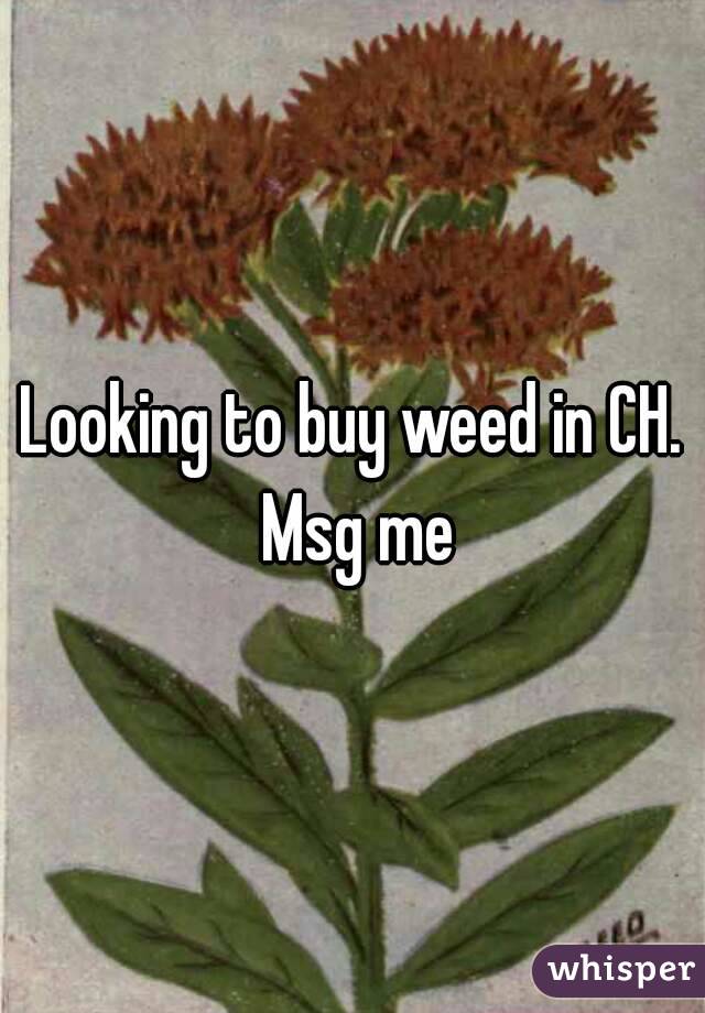 Looking to buy weed in CH. Msg me