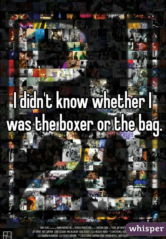 I didn't know whether I was the boxer or the bag.