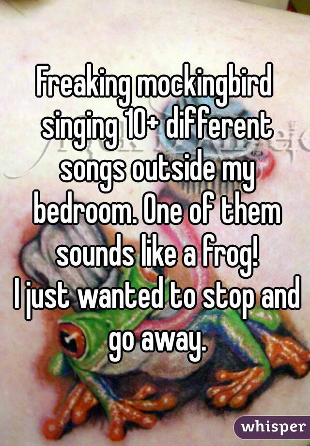 Freaking mockingbird singing 10+ different songs outside my bedroom. One of them sounds like a frog!
 I just wanted to stop and go away.
